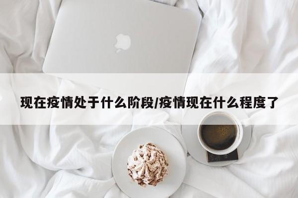 现在疫情处于什么阶段/疫情现在什么程度了