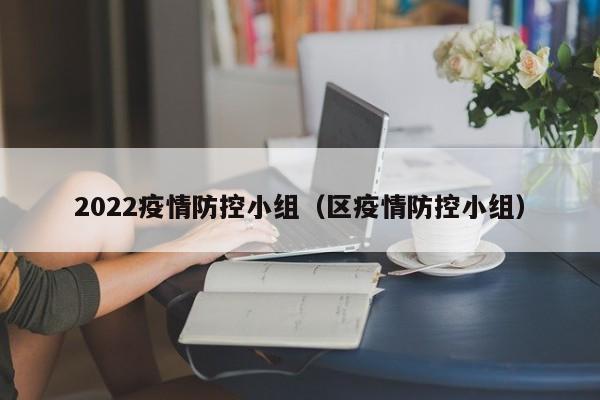 2022疫情防控小组（区疫情防控小组）