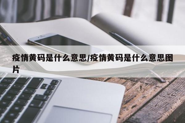 疫情黄码是什么意思/疫情黄码是什么意思图片
