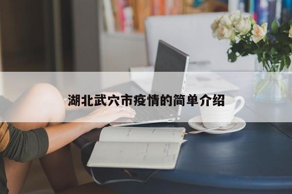 湖北武穴市疫情的简单介绍