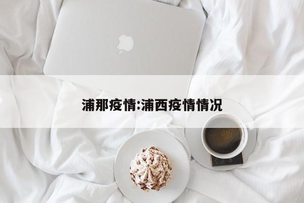 浦那疫情:浦西疫情情况