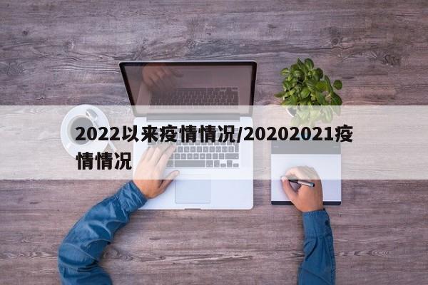 2022以来疫情情况/20202021疫情情况
